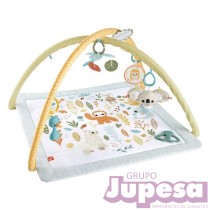 GIMNASIO INFANTIL DESPIERTA SENTIDO